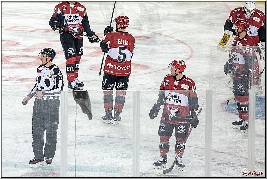 DEL Wintergame; Koelner Haie - Duesseldorfer EG; Koeln, 12.01.2019